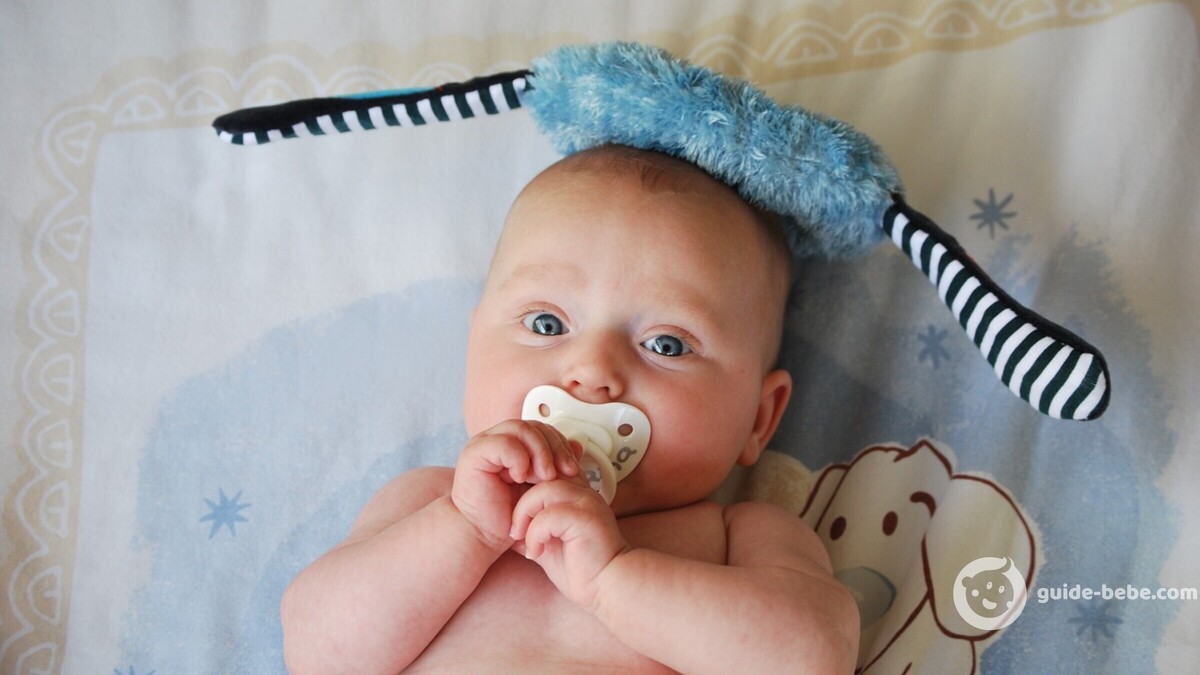 Bébé prénom Sylvie