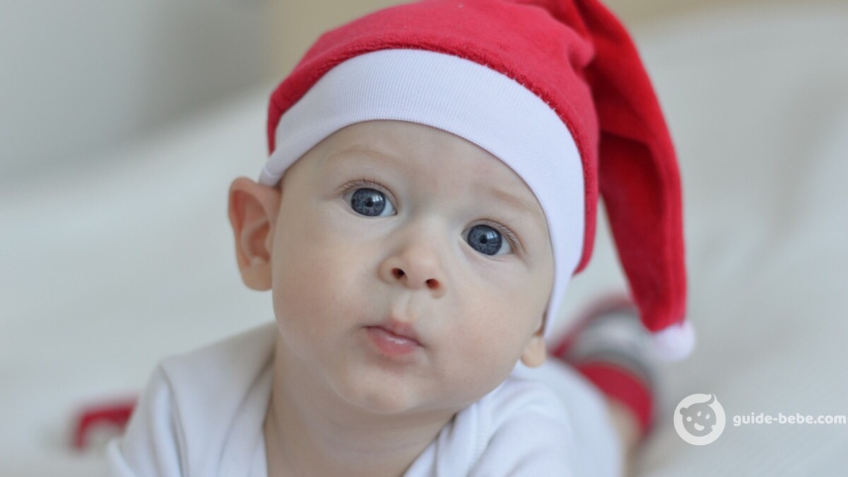 Bébé prénom Ludovic