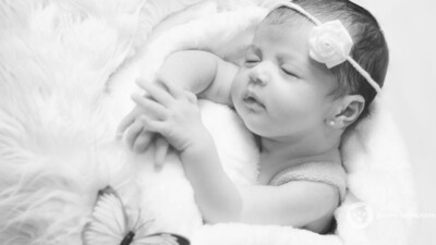 Bébé prénom FERRER
