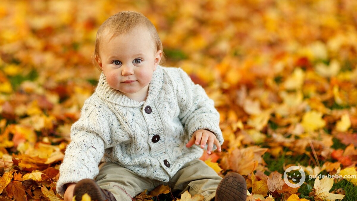 Bébé prénom Loic
