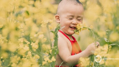 Bébé prénom AMEL