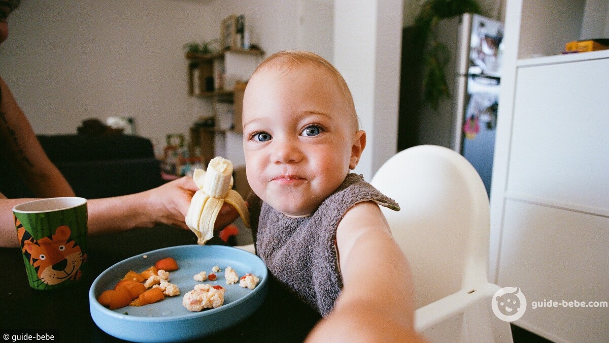 alimentation solide