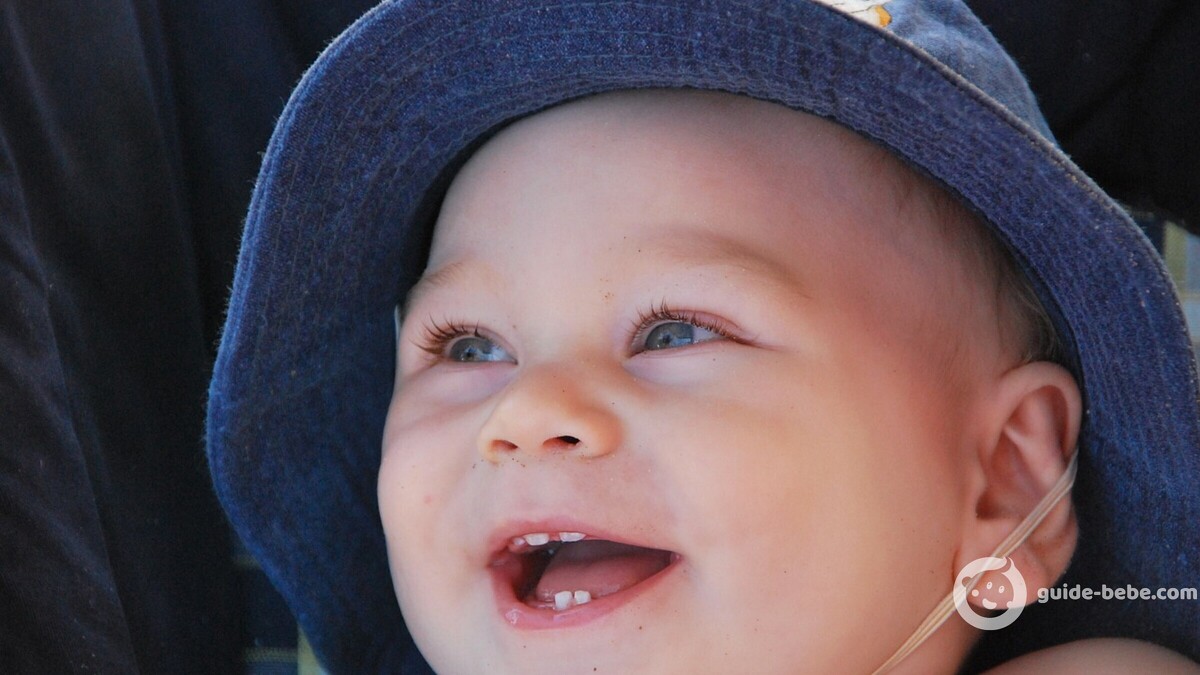 Bébé prénom Laurent