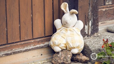 Doudou devant une porte d'entrée