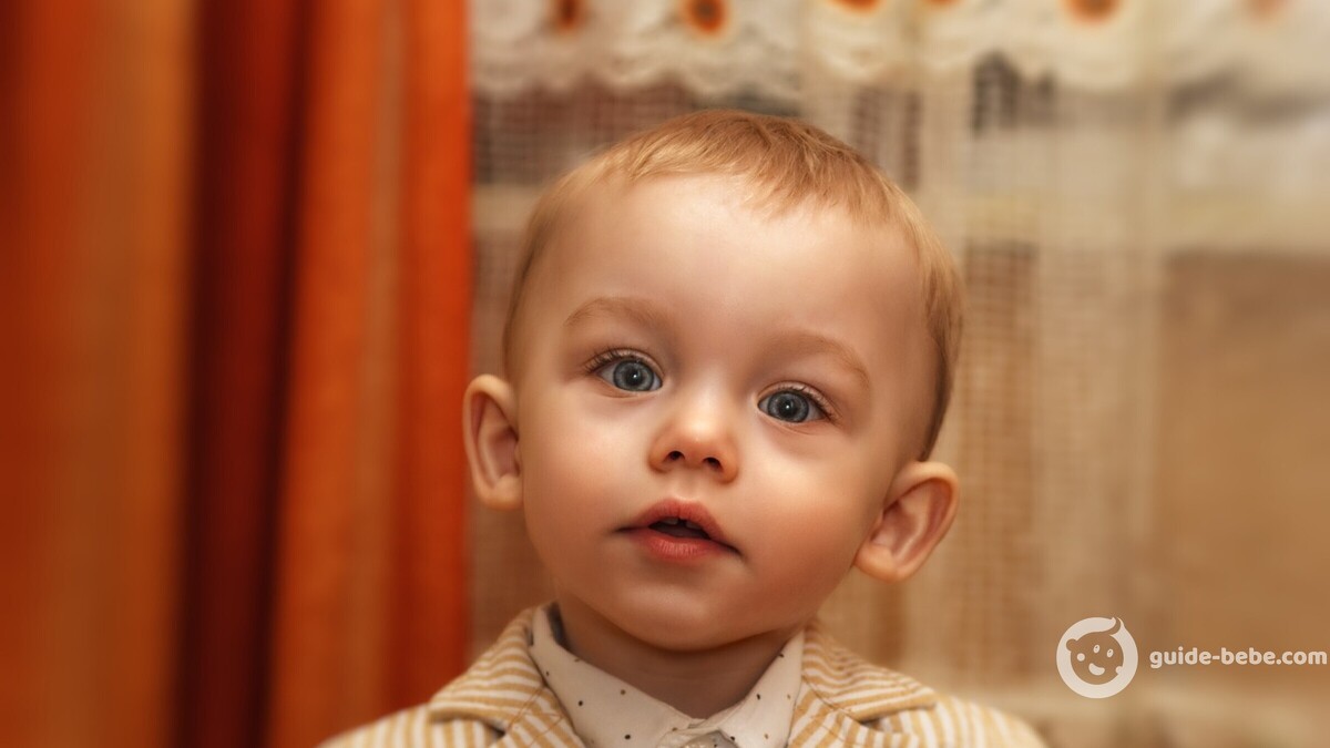 Bébé prénom Francois